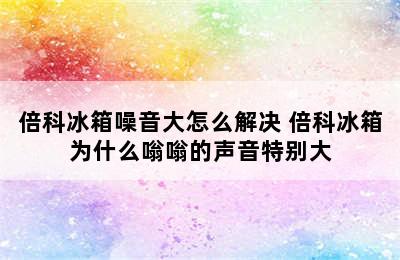 倍科冰箱噪音大怎么解决 倍科冰箱为什么嗡嗡的声音特别大